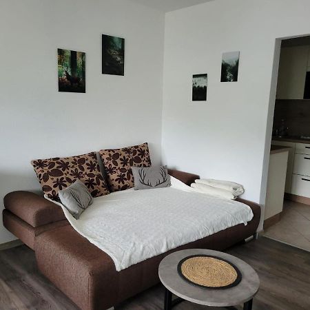 Ferienwohnung Hilde Bad Peterstal-Griesbach Extérieur photo