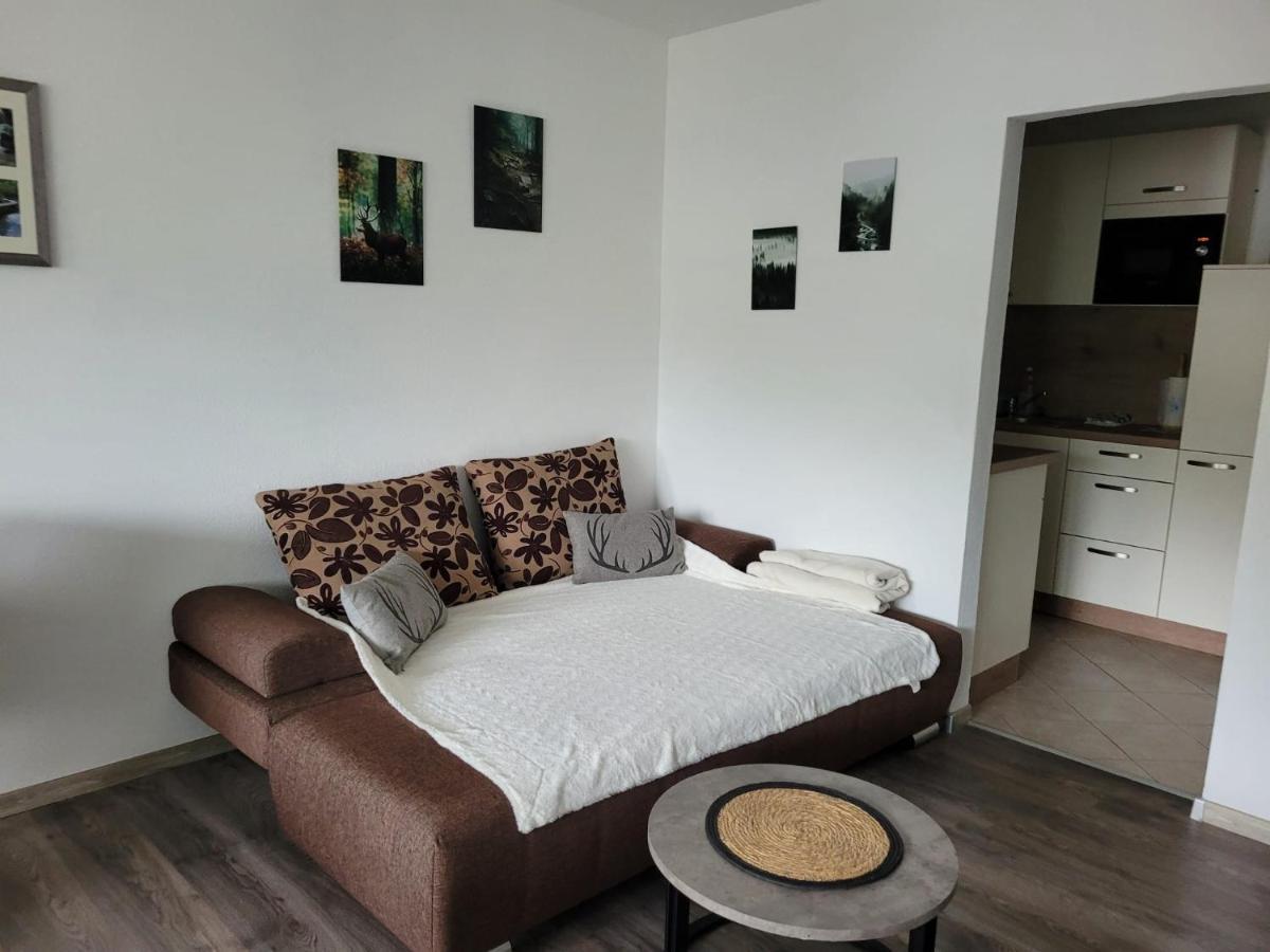 Ferienwohnung Hilde Bad Peterstal-Griesbach Extérieur photo